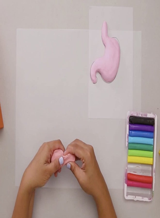 Pidilite Rangeela Creative Clay Pack Fruits (60gm)- Multi-Colour, 5 Years & Above, DIY Pack of Modelling Clay - Image 5